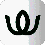 Wake TV版 V2.1.1