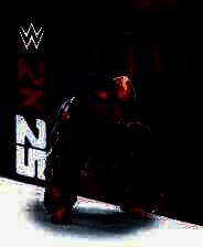 《WWE 2K25》电脑版