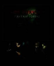 《卡牌生存：奇幻森林》免安装汉化版