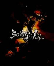 《浮生游歌》官方版