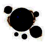 石青网站推广软件v2.1.6.1