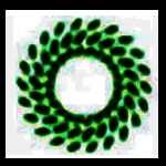 生生课堂v4.1.60.29587