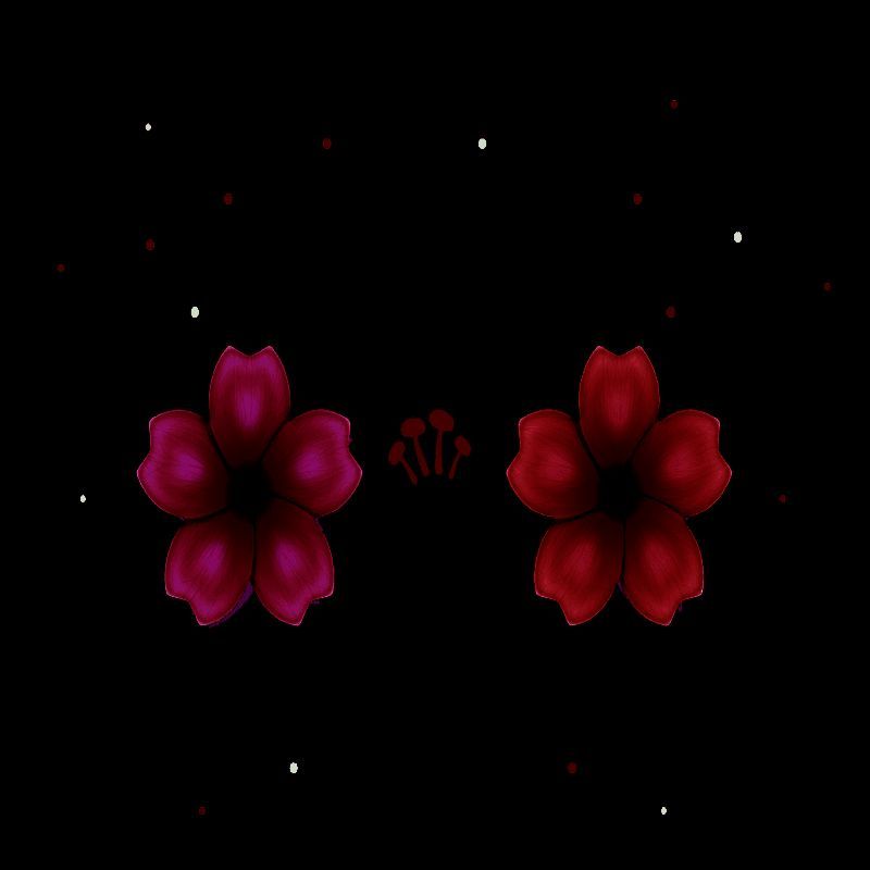 花樱动漫社 V1.1