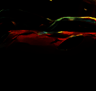 氮气加速赛车 安卓版 V0.5