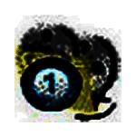 枫叶RM/mp4格式转换器v10.8.0