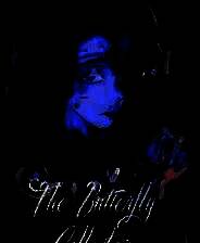 《蝴蝶收藏家》游戏库