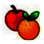 ExamDiff Prov13.0.1.13