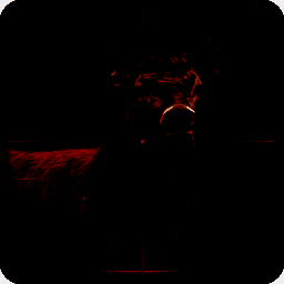 野生动物狙击手 最新版 V2.4