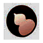 小葫芦时间插件x64v1.0