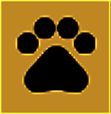 NGA净化模块 最新版 V2.0.0