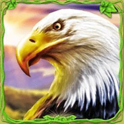 猎鹰模拟器3D 最新版 V1.0