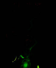 《幽影之线》免安装汉化版