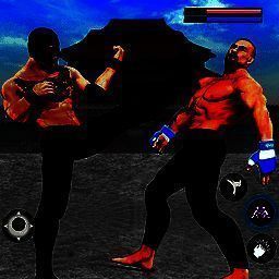 3d功夫格斗 最新版本 V2.5