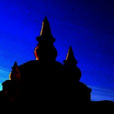 今日阿拉善 V4.0.2