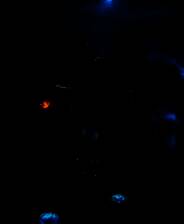 《雾锁王国》官方版