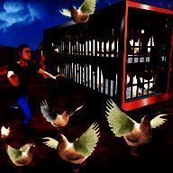 公鸡养殖场 V1.3