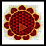 向日葵被控端 v10.3.0.27372