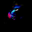 植物大战僵尸国王的花园 最新版 V1.0.1