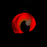 诅咒之岛 内置菜单版 V0.9.8.9.9