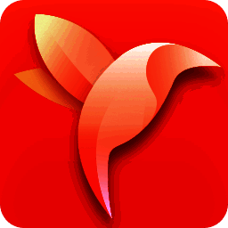 净网大师浏览器32位1.4.511.9900