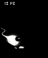 《号角和象牙之门》 英文免安装版