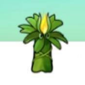 植物大战僵尸 融合1.0魔改版 V1.0