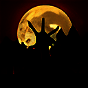 僵尸邻居 安卓最新版 V1.0.26