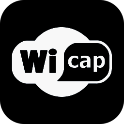 Wicap Demo 汉化版 V2.8.2