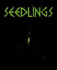 《幼苗》简体中文免安装版