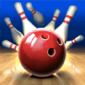 模拟保龄球大作战 安卓版 V1.00