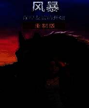 《风暴：深厚友谊的开始 重制版》官方版