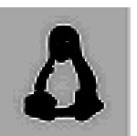 星火应用商店（Linux）电脑版