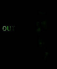 《逃生：告密者》简体中文硬盘版电脑版