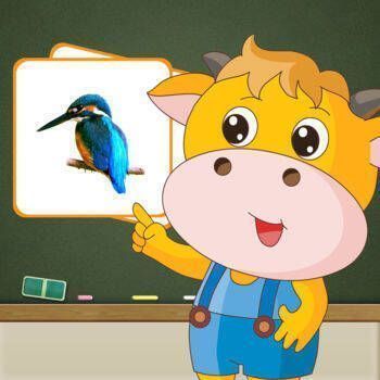 百科 飞鸟海洋版 V2.1