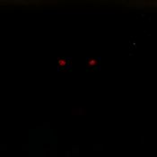 恐怖奶奶多人联机版 中文版 V0.1