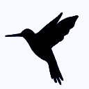 蓝鸟抓包 普通版 V3.3.6