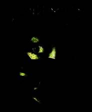 《死刑犯：罪恶起源》 GOD版XBOX360版