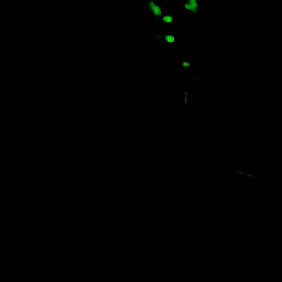 不要尖叫 联机版 V0.0.3