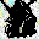 文本阅读器(DSpeech)