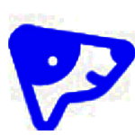 旺影视频模板v1.0.0.2