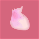 生命life 官方版 V1.39