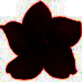 小红花直播音效助手免费版