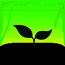 专注森林 官方版 V4.79.2