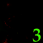 玩具熊的午夜惊魂3 官方正版 V1.07