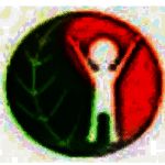 汉阳膳食营养分析软件v9.2.0.0