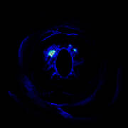 虚空穹牢 最新版 V2.5.15