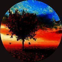 爱枫英语学习 最新版 V1.0