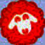 氧吧tv直播助手