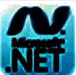 Microsoft .NET Frameworkv4.8.1.0