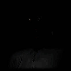 恐怖老奶奶 下载正版无广告版 V1.0